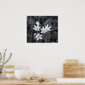Cluster van Mini Bloemen Macro Foto BW / Kleur Poster (Keuken)