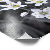 Cluster van minibloemen Macro Foto BW/Colour Print Foto Afdruk (Hoek)