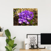 Cluster van Paarse Kroatische lentekort Poster (Thuiskantoor)