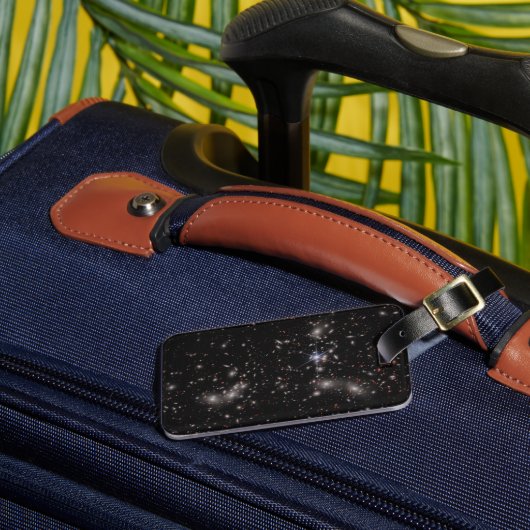 Cluster van Pandora Bagagelabel (Voorkant Insitu 3)