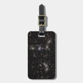 Cluster van Pandora Bagagelabel (Voorkant verticaal)