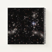 Cluster van Pandora Notitieboek (Achterkant)