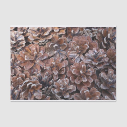 Cluster van pijnbomen tissuepapier (Voorkant)