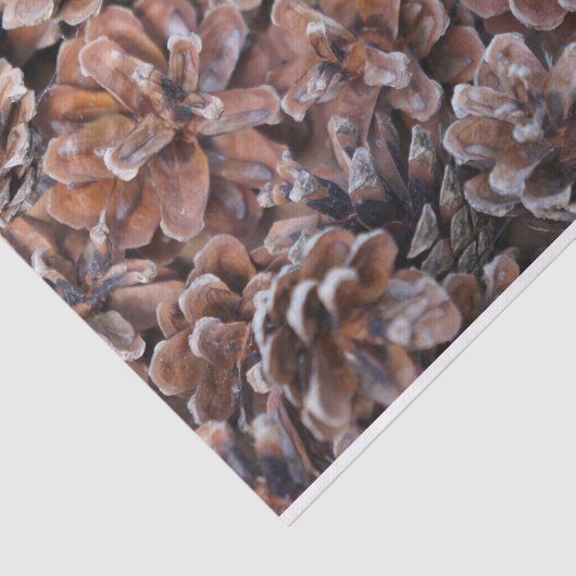 Cluster van pijnbomen tissuepapier (Detail)