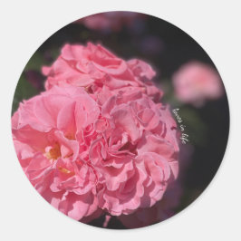 Cluster van Roze Rozen Sticker