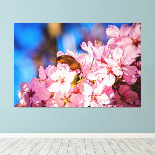 Cluster van roze torenbloesems, blauwe hemel canvas afdruk (Insitu (Houten vloer))