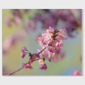 Cluster van Sakura-bloesems op groen, blauw, Paars Cadeaupapier (Vlak)