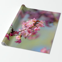 Cluster van Sakura-bloesems op groen, blauw, Paars Cadeaupapier