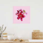 Cluster van Stargazer Lilies Poster (Keuken)