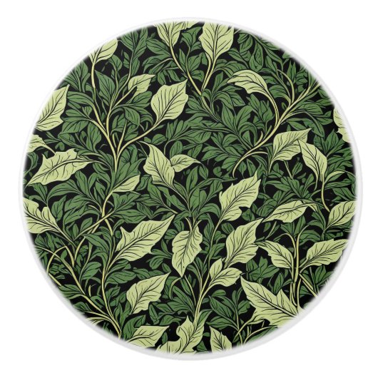 Cluster van wijnstokken in tinten groen keramische knop (Voorkant)