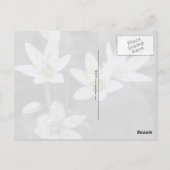 Cluster van Wildflowers Macro Foto Post kaart (Achterkant)