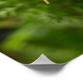 Cluster van wortelafdrukken poster (Hoek)