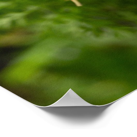 Cluster van wortelafdrukken poster (Hoek)