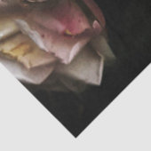 Cluster witte rozen tissuepapier (Detail)