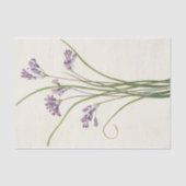 Clusterlily door Mary Vaux Walcott Tissuepapier (Voorkant)