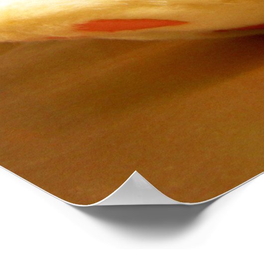 Clyde da Bunny Poster (Hoek)