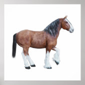 Clydesdale 3 poster (Voorkant)