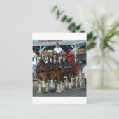 Clydesdale 6-paardenlifter briefkaart (Staand voorkant)
