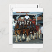 Clydesdale 6-paardenlifter briefkaart (Voorkant / Achterkant)