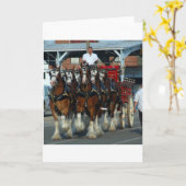 Clydesdale 6 paardhapering kaart (Gele Bloem)