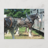 Clydesdale Briefkaart (Voorkant)