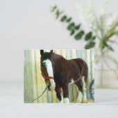 Clydesdale Briefkaart (Staand voorkant)