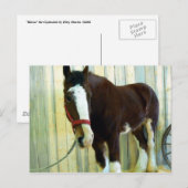 Clydesdale Briefkaart (Voorkant / Achterkant)