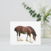 clydesdale briefkaart (Staand voorkant)