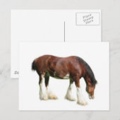 clydesdale briefkaart (Voorkant / Achterkant)