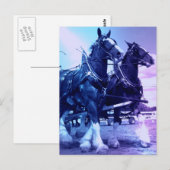 Clydesdale Briefkaart (Voorkant / Achterkant)