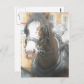 Clydesdale Brown Horse Briefkaart (Voorkant / Achterkant)