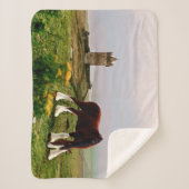 Clydesdale Castle Sherpa Deken (Voorkant)