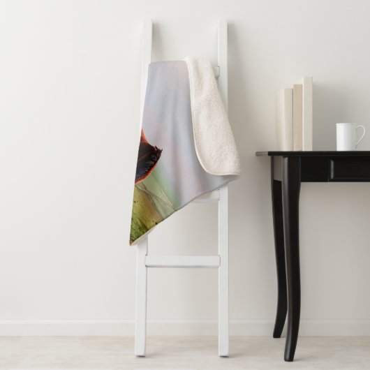 Clydesdale Castle Sherpa Deken (In situ)