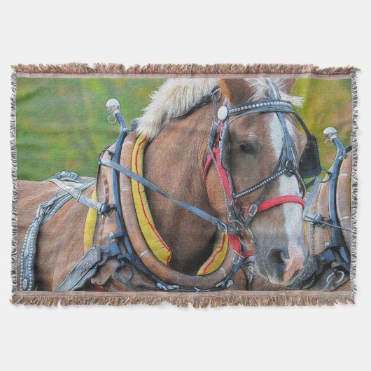 Clydesdale Draft Horse Equine Photo Gift Deken (Voorkant)