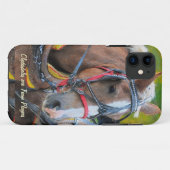 Clydesdale Draft Horse-lover's iPhone 5 Hoesje (Achterkant (horizontaal))