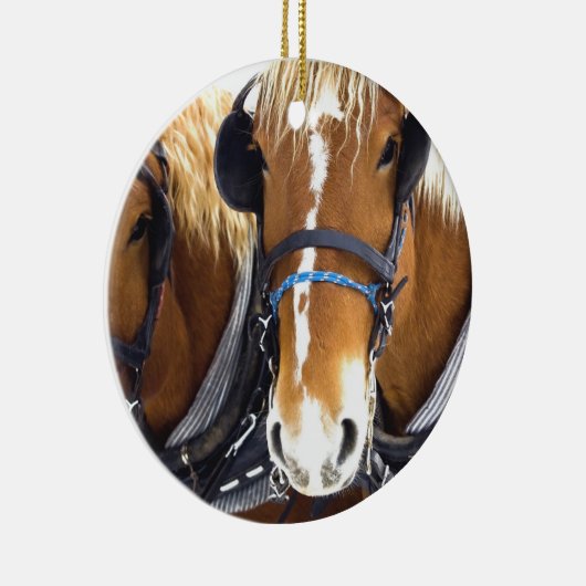 Clydesdale Draft Horse Ornament (Rechts)