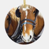 Clydesdale Draft Horse Ornament (Voorkant)