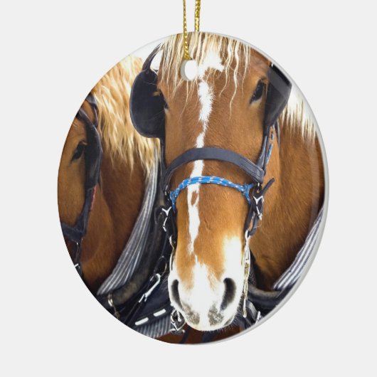 Clydesdale Draft Horse Ornament (Links)