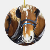 Clydesdale Draft Horse Ornament (Achterkant)