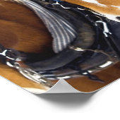 Clydesdale Draft Horse Poster Print (Hoek)