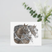 Clydesdale Draft Horse Team Briefkaart (Staand voorkant)