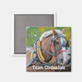 Clydesdale Draft Horse Team Magnetic Art Gift Magneet (Voorkant / Achterkant)