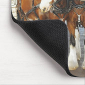 Clydesdale Draft Horses in de Barn Muismat (Hoek)