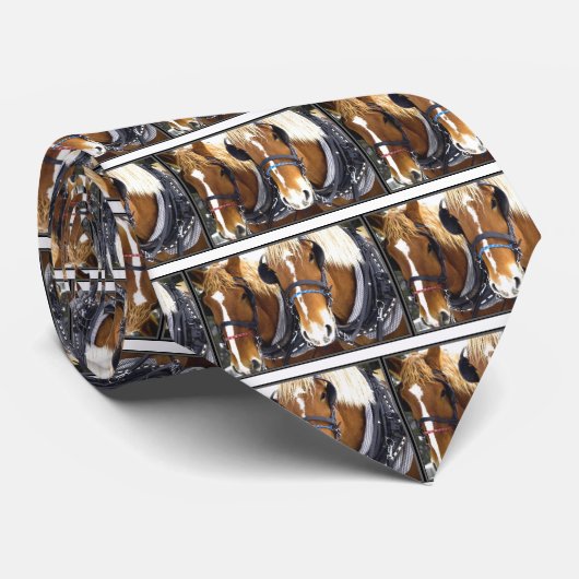 Clydesdale Draft Horses Stropdas (Opgerold)