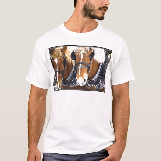 Clydesdale Draft Horses T-Shirt (Voorkant)