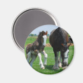 clydesdale en filly magneet (Voorkant / Achterkant)