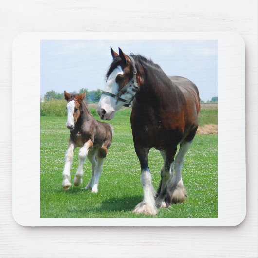 Clydesdale en Filly Muismat (Voorkant)