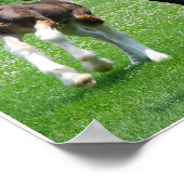 Clydesdale en Filly print (Hoek)