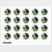 Clydesdale en Filly Ronde Sticker (Vel)