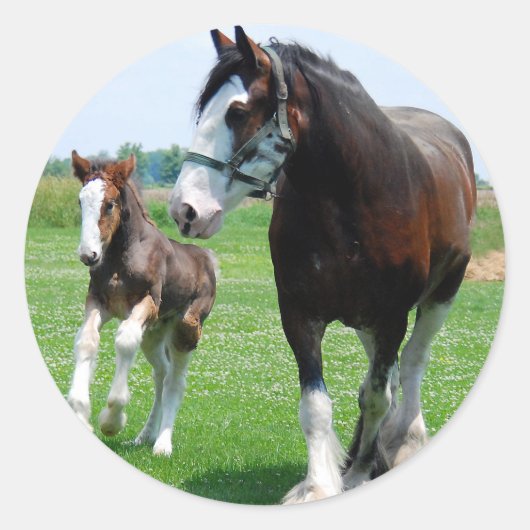 Clydesdale en Filly Ronde Sticker (Voorkant)